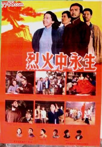 办理假的驾驶证